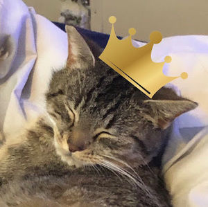 Meet your Posher, Prince